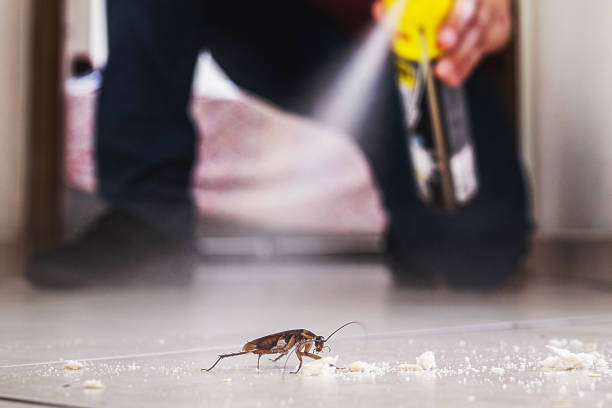 Best Flea Control Services  in Asotin, WA