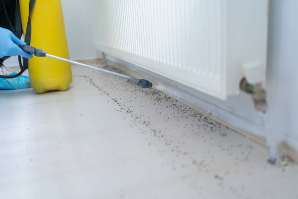 Asotin, WA Pest Control Company