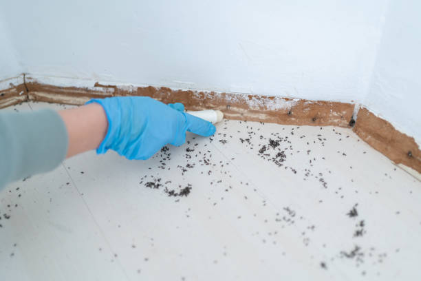 Best Wildlife Control Services  in Asotin, WA